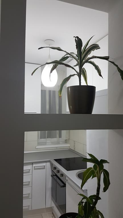 Cluj Lux Apartment Taberei Εξωτερικό φωτογραφία